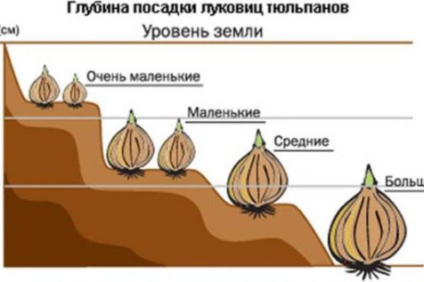 Как зайти на кракен даркнет