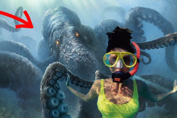 Ссылка для входа на сайт kraken